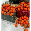 Combo 50 quả hồng handmade - Trang trí Tết 2.026, hàng có sẵn, ship nhanh SG, chỉ 300k 2