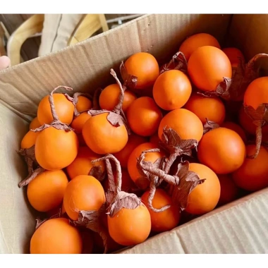 Combo 50 quả hồng handmade - Trang trí Tết 2.026, hàng có sẵn, ship nhanh SG, chỉ 300k 3 Combo 50 quả hồng handmade - Trang trí Tết 2.026, hàng có sẵn, ship nhanh SG, chỉ 300k 3