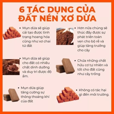 Combo 7 Viên Đất Trồng Cây Hữu Cơ Tặng 7 Quà - Đất Nén Xơ Dừa Giữ Ẩm, Sạch Sẽ, Tiện Lợi Giá 48.500₫ 2