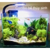 Combo bể cá mini để bàn đầy đủ phụ kiện cây, đá, đèn, lọc thác giá chỉ 550.000 VND