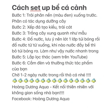 Combo bể cá mini để bàn đầy đủ phụ kiện cây, đá, đèn, lọc thác giá chỉ 550.000 VND