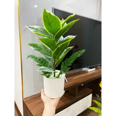 Combo chậu cây giả Y hình 40cm - Thiết kế hiện đại, giảm giá 99.999đ