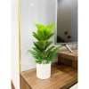 Combo chậu cây giả Y hình 40cm - Thiết kế hiện đại, giảm giá 99.999đ 5