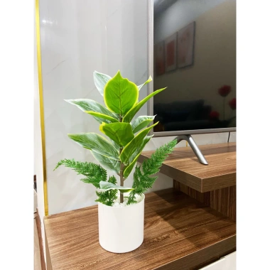 Combo chậu cây giả Y hình 40cm - Thiết kế hiện đại, giảm giá 99.999đ