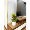 Combo chậu cây giả Y hình 40cm - Thiết kế hiện đại, giảm giá 99.999đ 8