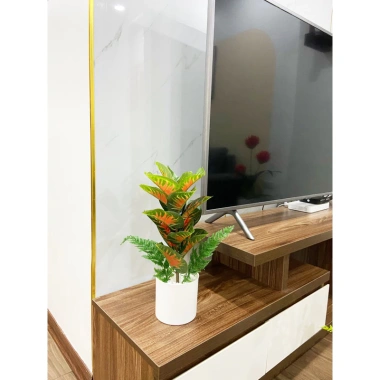 Combo chậu cây giả Y hình 40cm - Thiết kế hiện đại, giảm giá 99.999đ