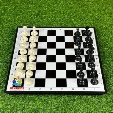 Combo Cờ Vua Nam Châm & Cờ Cá Ngựa 31x31cm - Board Game Giải Trí Gia Đình 179k 6