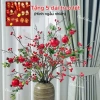 Combo Đào Đông Rừng 90cm Cao Cấp – Decor Nhà Cửa, Trang Trí Tết, Tặng Dải Treo, Giá 250k
