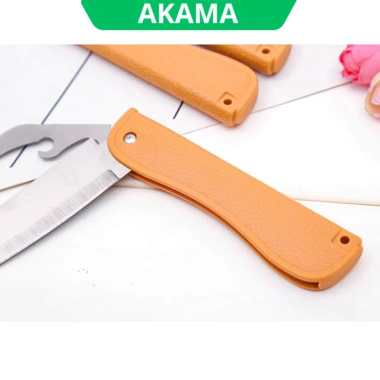Combo Dao Gấp Du Lịch An Toàn - Dao Gọt Hoa Quả Mini Inox Giá 33.000đ