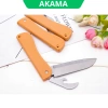Combo Dao Gấp Du Lịch An Toàn - Dao Gọt Hoa Quả Mini Inox Giá 33.000đ 6