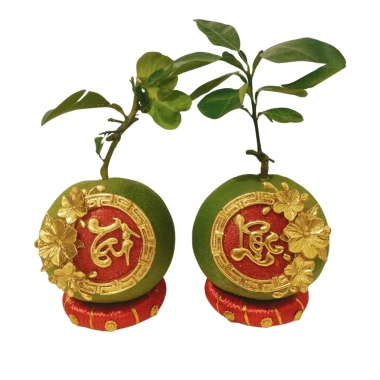 Combo Dát Vàng Nguyên Liệu Dừa Bưởi Trái Cây - Trang Trí Tết Đầy Đủ 130k