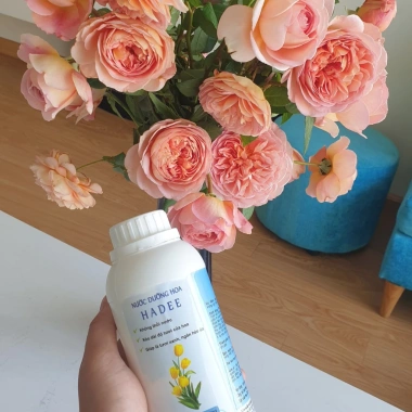 Combo gói nước dưỡng hoa Hadee 10ml - Kích nở, giữ tươi lâu, chống thối - Pha 1 lít, giảm còn 65.000₫ 3 Combo gói nước dưỡng hoa Hadee 10ml - Kích nở, giữ tươi lâu, chống thối - Pha 1 lít, giảm còn 65.000₫ 3