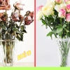 Combo gói nước dưỡng hoa Hadee 10ml - Kích nở, giữ tươi lâu, chống thối - Pha 1 lít, giảm còn 65.000₫ 4