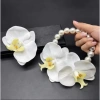 Combo Nguyên Liệu Hoa Lan Cô Dâu Tết 2.026 - Áo Dài Chụp Ảnh Sang Trọng 38.000đ 10