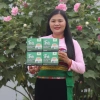 Combo Quà Tặng Trà Giây Happy Life 4 Hộp và Thìa Canh, 200 Gói Lọc - Khuyến mãi Giá 69.000₫ 6