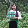 Combo Quà Tặng Trà Giây Happy Life 4 Hộp và Thìa Canh, 200 Gói Lọc - Khuyến mãi Giá 69.000₫ 7