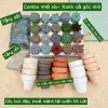 Combo Sen Đá 20 Cây + 20 Chậu Mini - Thoát Nước Tốt, Cây Khỏe 60.000 VNĐ