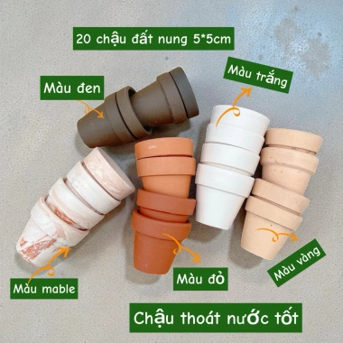 Combo Sen Đá 20 Cây + 20 Chậu Mini - Thoát Nước Tốt, Cây Khỏe 60.000 VNĐ 5