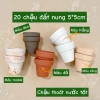 Combo Sen Đá 20 Cây + 20 Chậu Mini - Thoát Nước Tốt, Cây Khỏe 60.000 VNĐ 6
