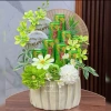 Combo set phụ kiện hoa lan hải đường - mẫu tháp Tết 2.026, giá ưu đãi 65k 5