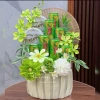 Combo set phụ kiện hoa lan hải đường - mẫu tháp Tết 2.026, giá ưu đãi 65k 9