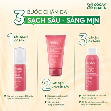Combo Sữa Rửa Mặt, Mặt Nạ Tẩy Tế Bào Chết, Toner Đậu Đỏ 150g – Sâu Dưỡng Sáng, Giá 204.000đ