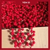 Combo Tết Bính Ngọ 50-100 nhánh Đào Đông - Trang trí cây tết, nhà cửa tài lộc