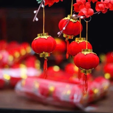 Combo Tết Bính Ngọ 50-100 nhánh Đào Đông - Trang trí cây tết, nhà cửa tài lộc 10