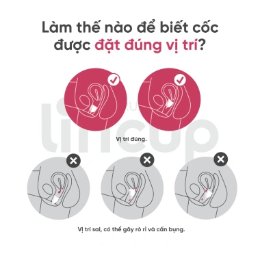 Combo trọn bộ cốc nguyệt san Lincup The Moonbox - Quà tặng lễ giảm giá 1.239.000 VND 6 Combo trọn bộ cốc nguyệt san Lincup The Moonbox - Quà tặng lễ giảm giá 1.239.000 VND 6