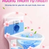 Combo Viên sạch bồn cầu CleanZ - Chai thả khử mùi, diệt vi khuẩn, tẩy mảng bám, 99.000 VND 4