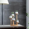 Coolcells Kệ tre cây cảnh mọng nước - Giá để bàn hình cành, Đỡ chậu hoa, Trang trí phòng khách, 104.830 VND 6