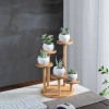 Coolcells Kệ tre cây cảnh mọng nước - Giá để bàn hình cành, Đỡ chậu hoa, Trang trí phòng khách, 104.830 VND 8