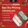 Củ Sạc Nhanh D021 Chính Hãng TAIPULING - Dây, CCC, Bảo Hành 12 Tháng, Tối Ưu