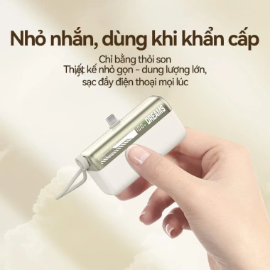 Củ Sạc Nhanh D021 Chính Hãng TAIPULING - Dây, CCC, Bảo Hành 12 Tháng, Tối Ưu