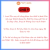 Cục đổi nguồn 110V sang 220V Singway du lịch, chỉ dùng thiết bị dưới 30W, an toàn, nhẹ cân 2