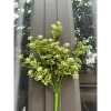 Cụm Điểm Hoa Sữa 7 Nhánh Cao 40cm - Cỏ Điểm & Lá Giả, Giá chỉ 14,555₫ 4