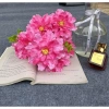 Cụm hoa giả 5 bông size 10cm - Cụm Hoa Phăng, giá ưu đãi 20.000 đồng