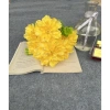 Cụm hoa giả 5 bông size 10cm - Cụm Hoa Phăng, giá ưu đãi 20.000 đồng 2