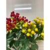 Cụm quả cherry hoa giả sang trọng - Trang trí nội thất, giá chỉ 29.999đ