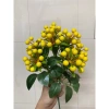 Cụm quả cherry hoa giả sang trọng - Trang trí nội thất, giá chỉ 29.999đ 2