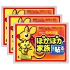 Dán Nóng C7 Set 10/20/50 Giữ Ấm Cơ Thể, Giảm Đau Bụng Kinh, Bàn Chân - 34.000đ 4