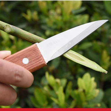 Dao chiết cành gấp gọn tặng cuộn giấy TO 3cm - Dễ ghép cây cảnh, bonsai, chỉ 99.000 VND 6