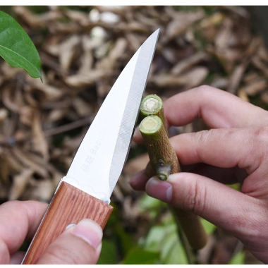 Dao chiết cành gấp gọn tặng cuộn giấy TO 3cm - Dễ ghép cây cảnh, bonsai, chỉ 99.000 VND 7