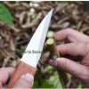 Dao ghép cây ghép cành gấp gọn thép SK5 Nhật Bản - Siêu bền, giá chỉ 61.000đ 2