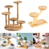DARON Giá Để Bàn Hình Nhánh Cây - Kệ Tre Bảo Quản Hoa Mini, Trang Trí Nhà Cửa, 110.770₫ 5