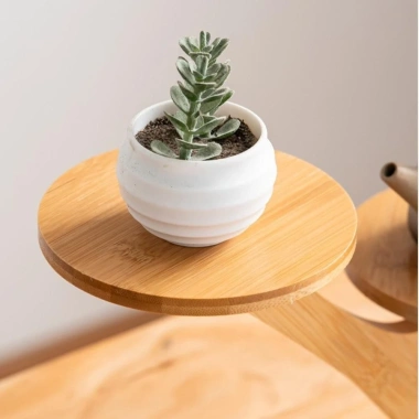 DARON Giá Để Bàn Hình Nhánh Cây - Kệ Tre Bảo Quản Hoa Mini, Trang Trí Nhà Cửa, 110.770₫ 7 DARON Giá Để Bàn Hình Nhánh Cây - Kệ Tre Bảo Quản Hoa Mini, Trang Trí Nhà Cửa, 110.770₫ 7