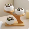 DARON Giá Để Bàn Hình Nhánh Cây - Kệ Tre Bảo Quản Hoa Mini, Trang Trí Nhà Cửa, 110.770₫ 8