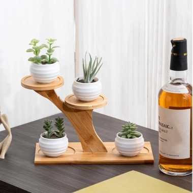 DARON Giá Để Bàn Hình Nhánh Cây - Kệ Tre Bảo Quản Hoa Mini, Trang Trí Nhà Cửa, 110.770₫ 9 DARON Giá Để Bàn Hình Nhánh Cây - Kệ Tre Bảo Quản Hoa Mini, Trang Trí Nhà Cửa, 110.770₫ 9