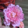 Đầu Bông Hoa Cúc Râu Trang Trí Tết - Giỏ Quà, Cháp Bánh, Decor Phòng, Giá 2.700 VND 8