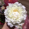 Đầu Bông Hoa Cúc Râu Trang Trí Tết - Giỏ Quà, Cháp Bánh, Decor Phòng, Giá 2.700 VND 9